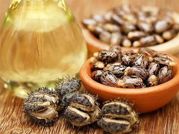 巴斯夫、贏創(chuàng)等化工巨頭新生物基材料布局